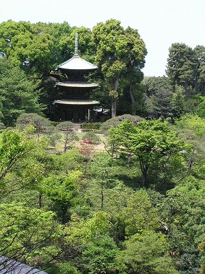 b0145863_18324544.jpg