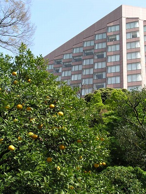 b0145863_1856105.jpg