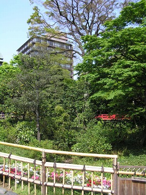 b0145863_18565368.jpg