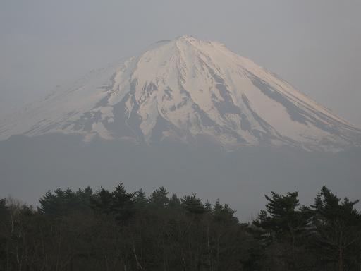 d0120665_2294814.jpg
