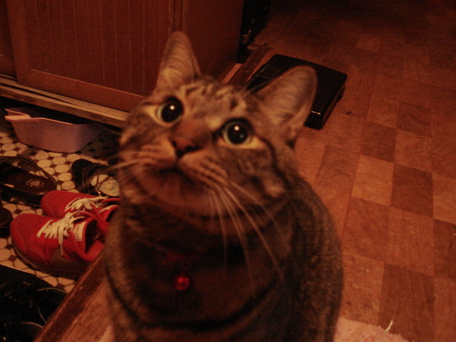 f0132565_10122355.jpg