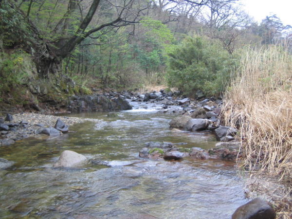 b0120066_14234157.jpg