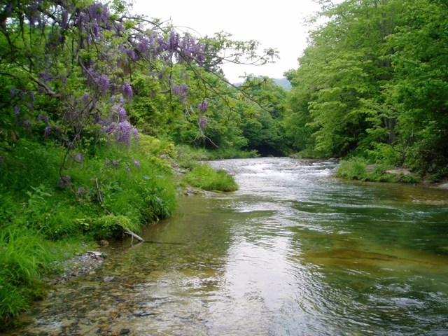 c0198267_9474480.jpg