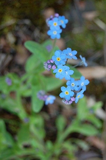 e0128367_0465491.jpg