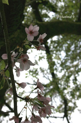 c0027369_227592.jpg