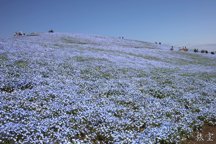 f0182571_22454728.jpg