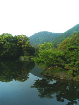 f0054677_914411.jpg