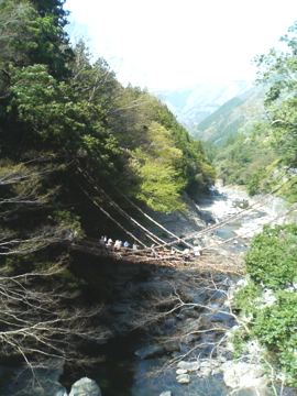 f0054677_9154373.jpg