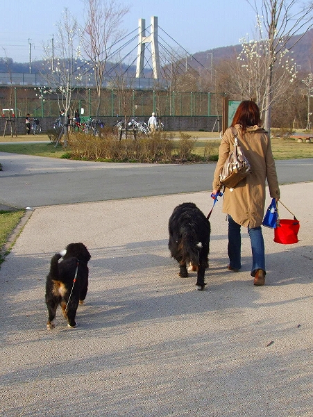c0149178_831420.jpg