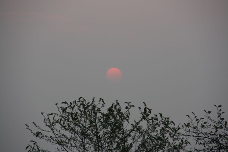 c0148781_20204894.jpg