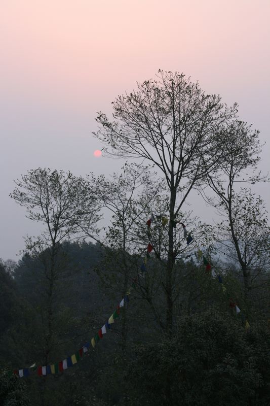 c0148781_20214257.jpg