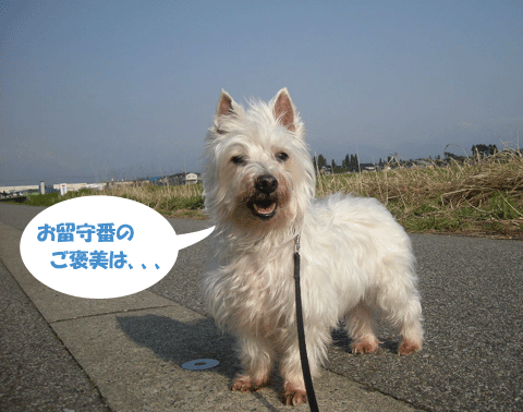 e0066883_2114297.gif