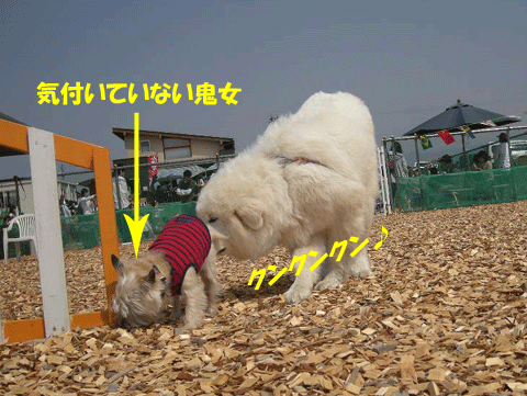 e0066883_21271559.gif