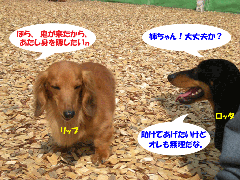 e0066883_2155136.gif
