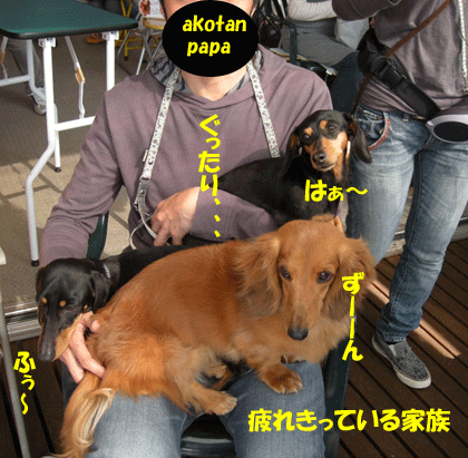 e0066883_21591221.gif