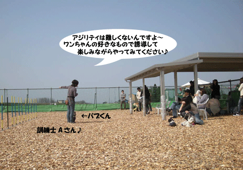 e0066883_21592735.gif