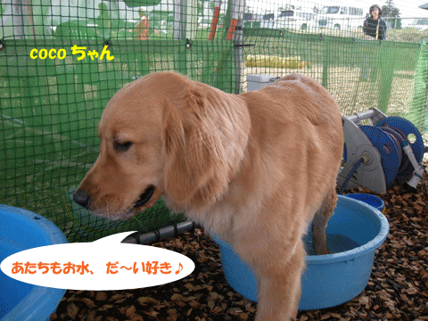e0066883_22174289.gif