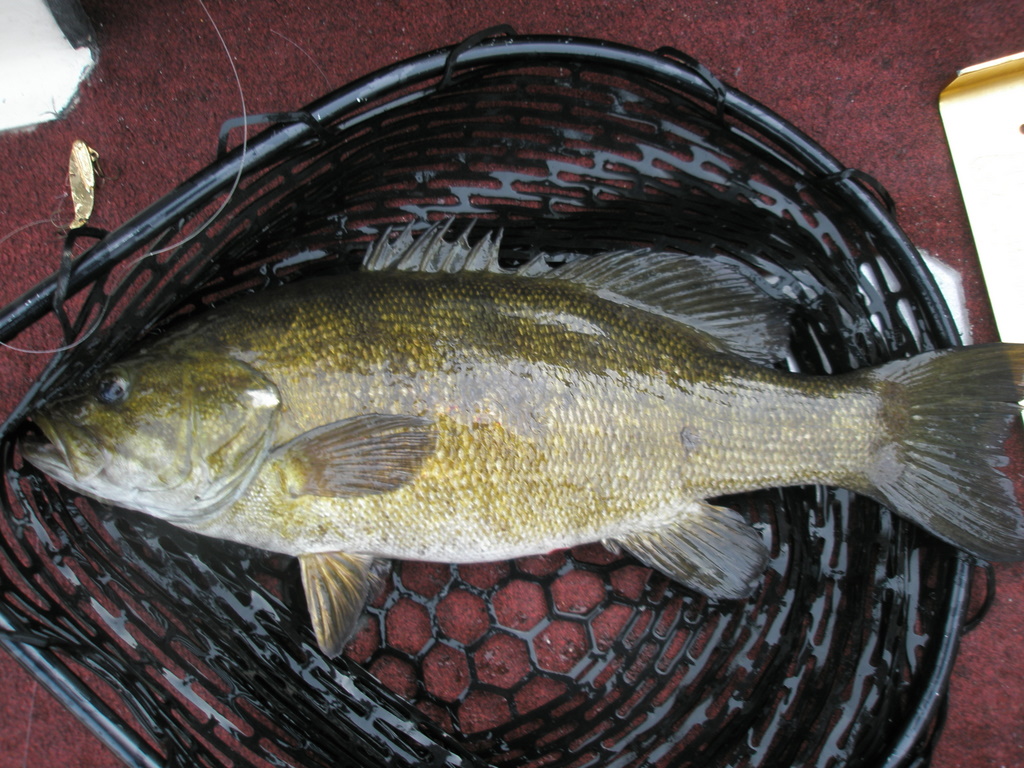 f0024887_8313664.jpg