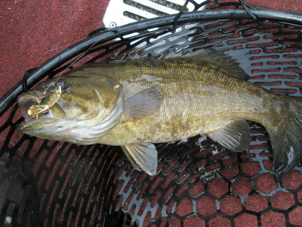 f0024887_8481540.jpg