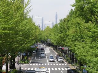f0130894_20561036.jpg