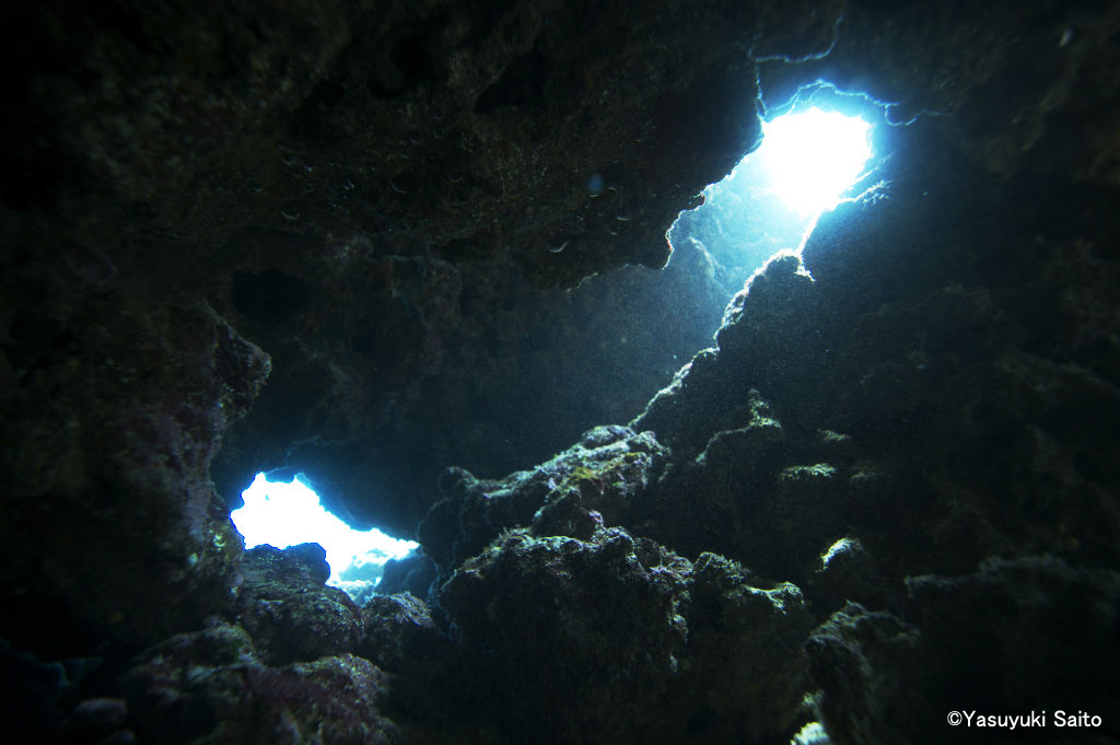 e0150695_7322229.jpg