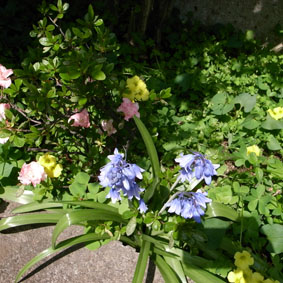 f0108399_434481.jpg