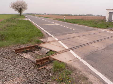 a0056401_19362059.jpg