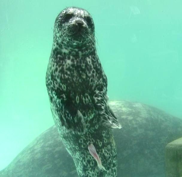 c0155902_200832.jpg
