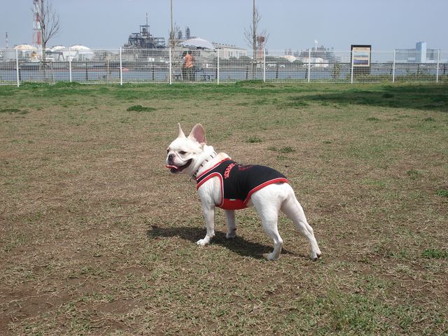 b0148106_21485130.jpg
