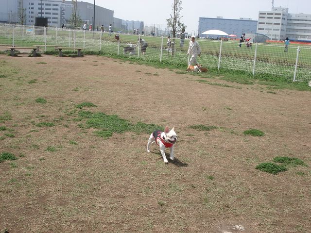 b0148106_21555938.jpg