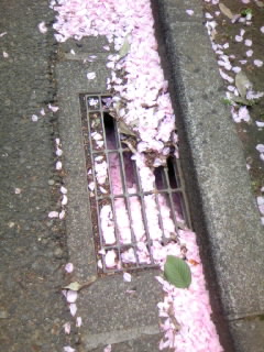 c0032006_2232512.jpg