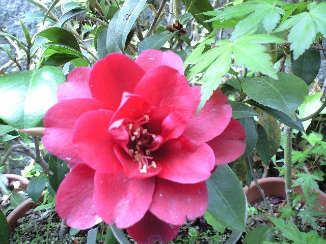d0000607_224311100.jpg