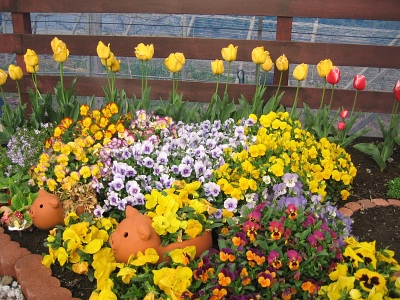 e0033013_1312648.jpg