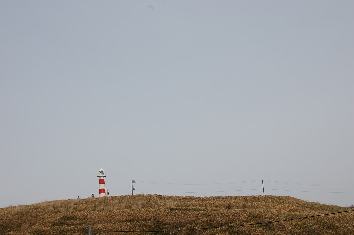 a0114514_10123240.jpg