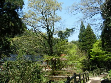 e0047322_20422397.jpg