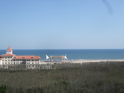 f0139029_1525529.jpg