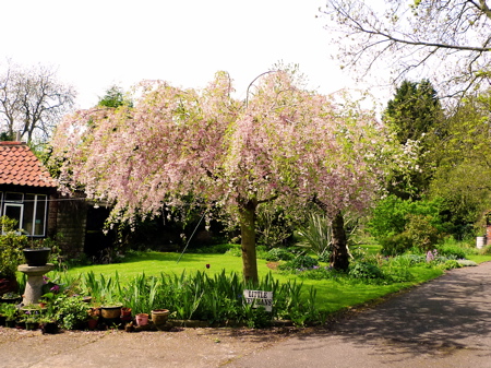 f0165831_0345277.jpg