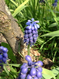 f0165831_0361979.jpg