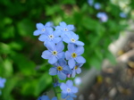 f0165831_043169.jpg