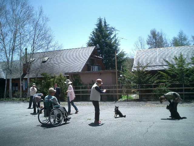 c0114833_23123237.jpg