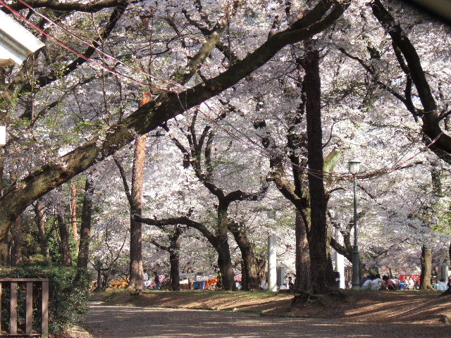 e0064133_0212974.jpg