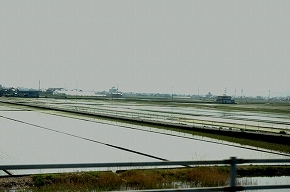 a0017634_17923100.jpg