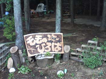 f0204440_04403.jpg
