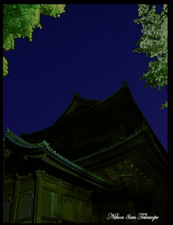b0167343_1363229.jpg
