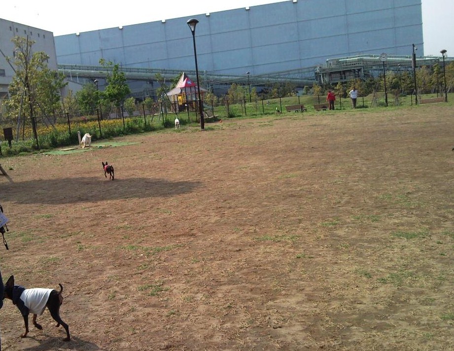 e0150843_073856.jpg
