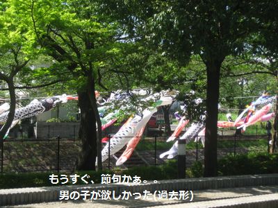 b0148945_18191251.jpg