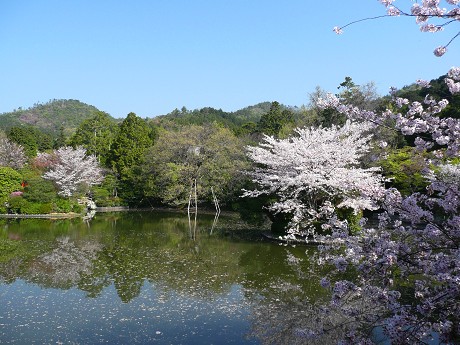 c0057946_23155555.jpg