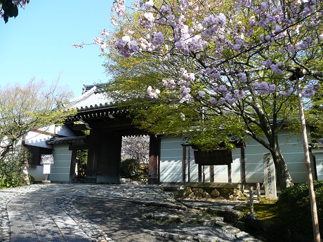 c0057946_235836.jpg