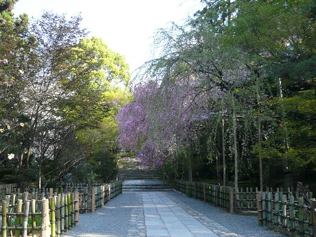 c0057946_236069.jpg