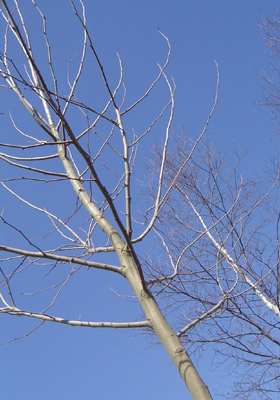 e0143347_16212789.jpg
